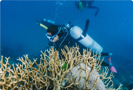 Underwater Scooters